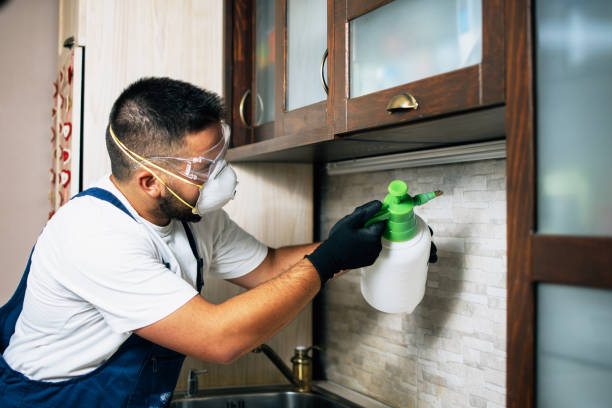 Best Bed Bug Extermination  in Clio, MI