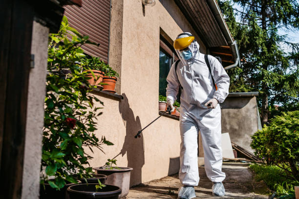 Best Pest Inspection Near Me  in Clio, MI