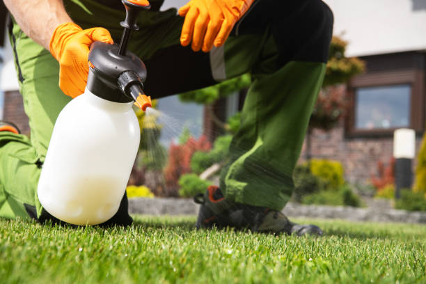 Best Pest Control for Homes  in Clio, MI