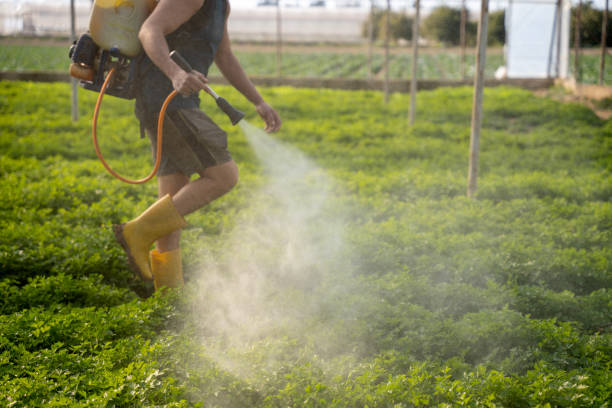 Best Pest Removal Services  in Clio, MI