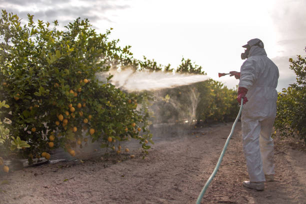 Trusted Clio, MI Pest Control Experts