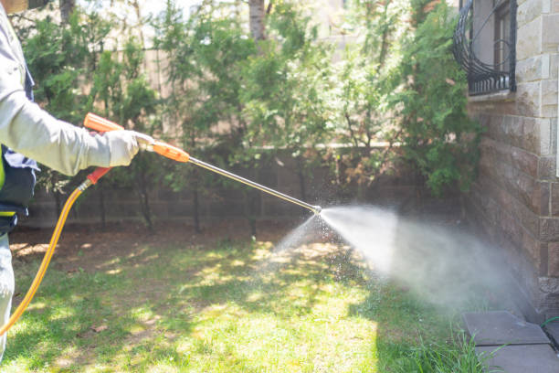 Best Flea Control Services  in Clio, MI