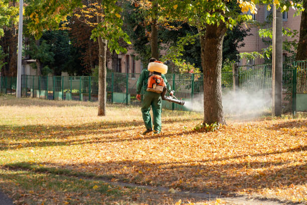 Best Residential Pest Control  in Clio, MI