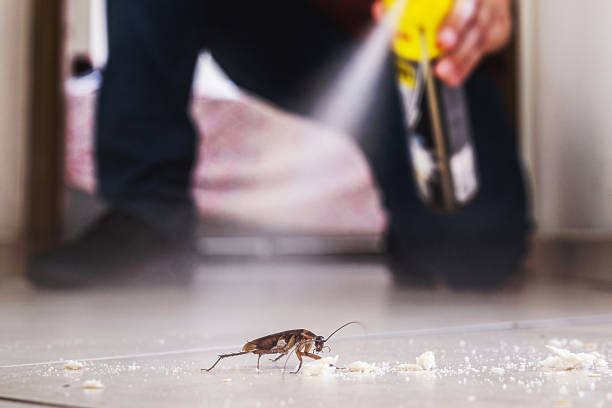 Best Local Pest Control Services  in Clio, MI